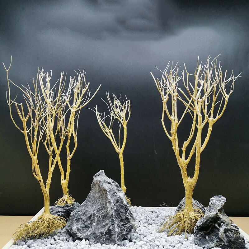 Natural Moss Tree Fish Tank Supplies Decor Aquarium Fish Accessories Natural Wooden Driftwood Branches for Aquarium Decoration