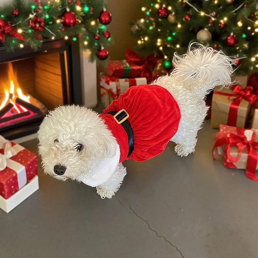 Weihnachten Hund Rock Niedliches Haustier Weihnachtsmann Kleid Kostüm für kleine mittelgroße Hunde Katze Welpen Cosplay Kleidung Mops Neujahr Party Geschenke