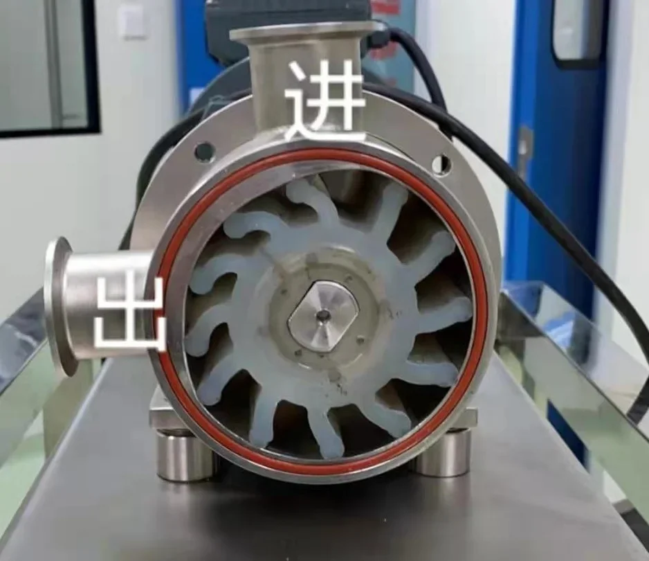 1.5KW High Viscosity Ketchup Stainless Steel Positive Displacement Pump Sanitary Flexible Impeller Rotor Pump