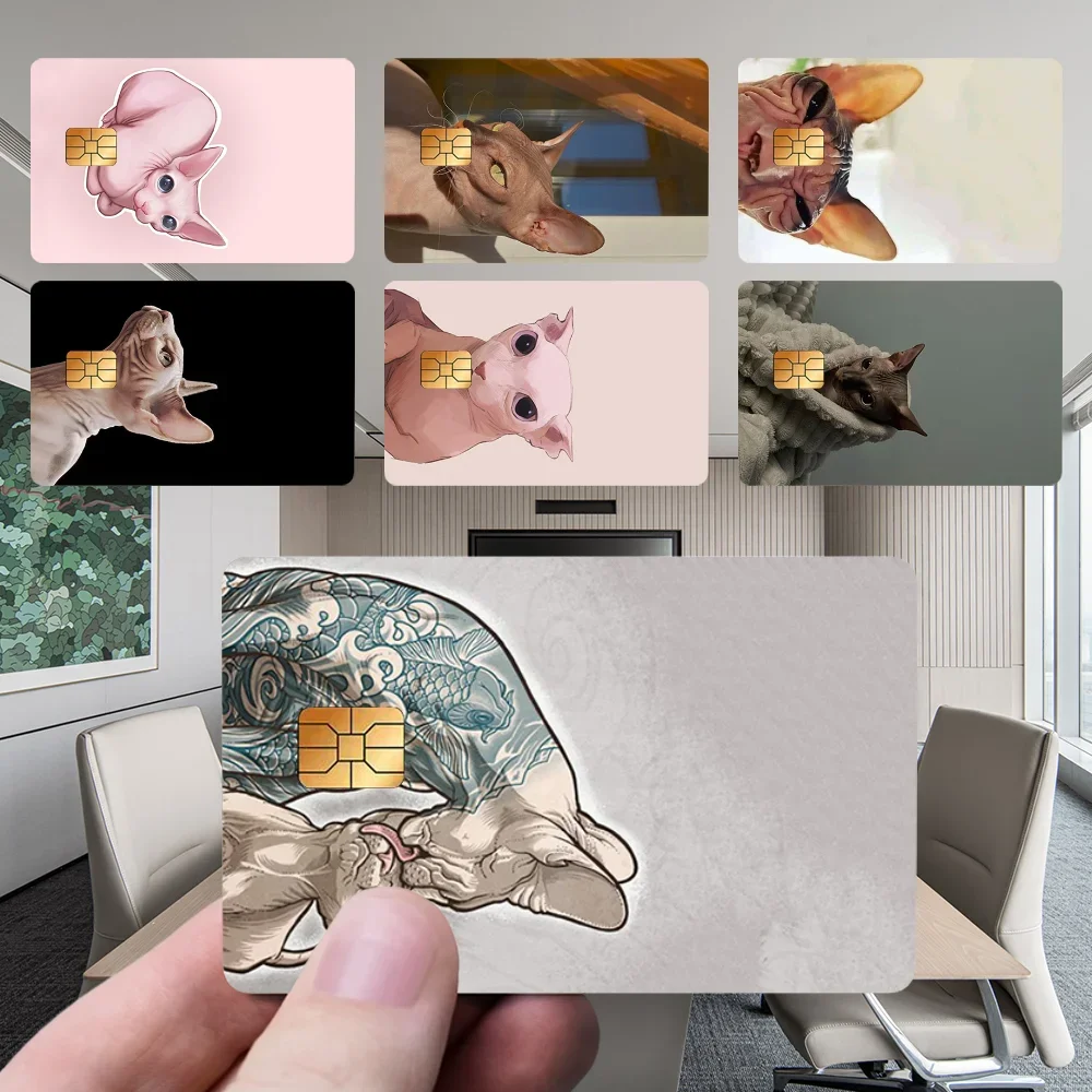 

Sphynx Sphinx Cat Stickers New Cartoon Card Debit Bank Charge Card Bus Metro Waterproof Sticker Decal Decoration