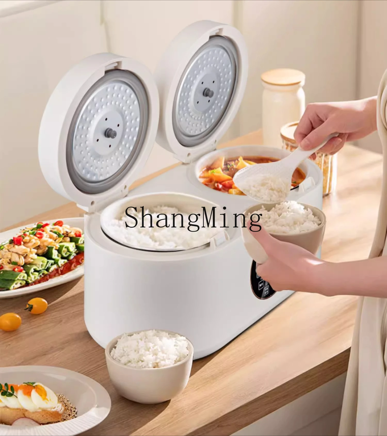 ZYY appuntamento cronometraggio fornello di riso intelligente pentola per zuppa da cucina monopezzo multifunzione a doppio incantesimo