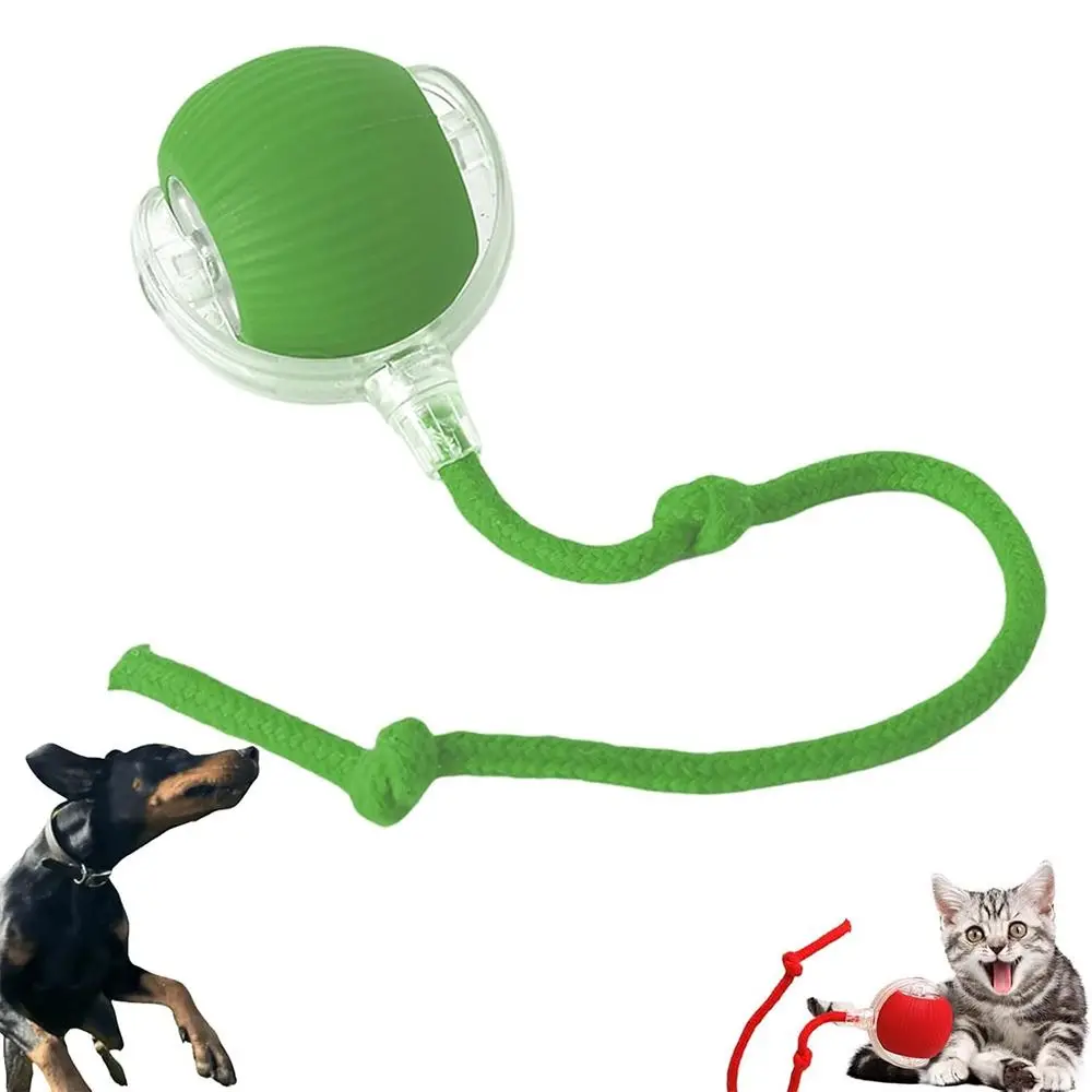 Automatisches Intelligentes Katzenspielzeug Schnell Rollender Wiederaufladbarer Hunde- und Katzen-Trainingsball für Drinnen mit Maus-Schwanz-Imitation