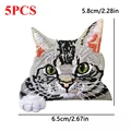 PE1677CT