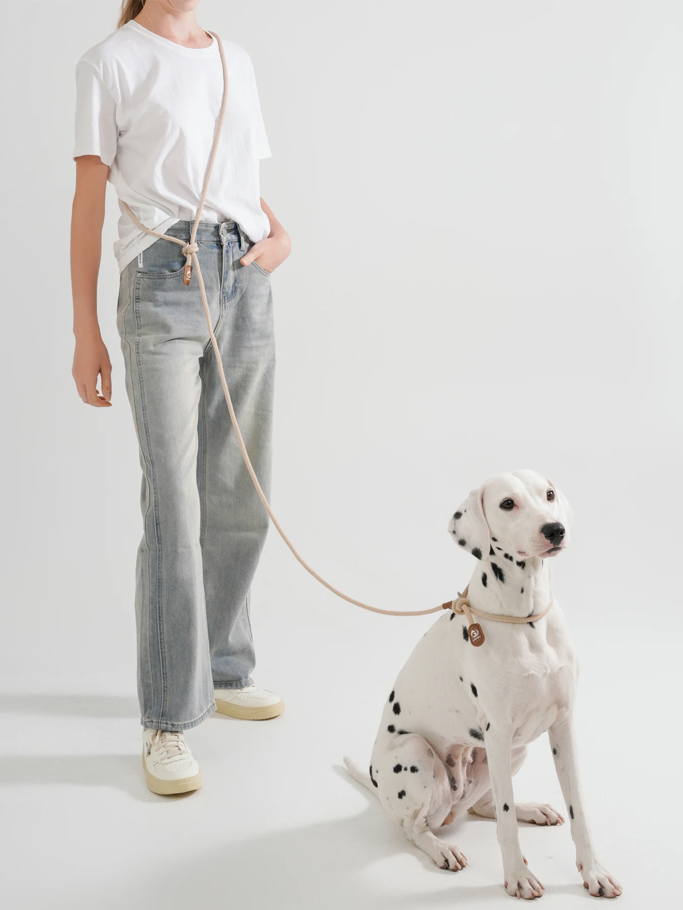 Kleine Hundeleine, multifunktionales Haustierhalsband, Leine, Seil, Taille, Umhängeleinen, Hundegehübung, Laufen, einfache Kontrolle – Detail 9