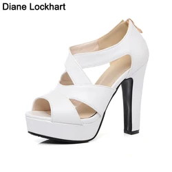 Summer Women Hollow Out High Heels Sandals Sexy Designer Open Toe Party Ladies Platform Shoes Zipper Gladiator Sandales Femmes