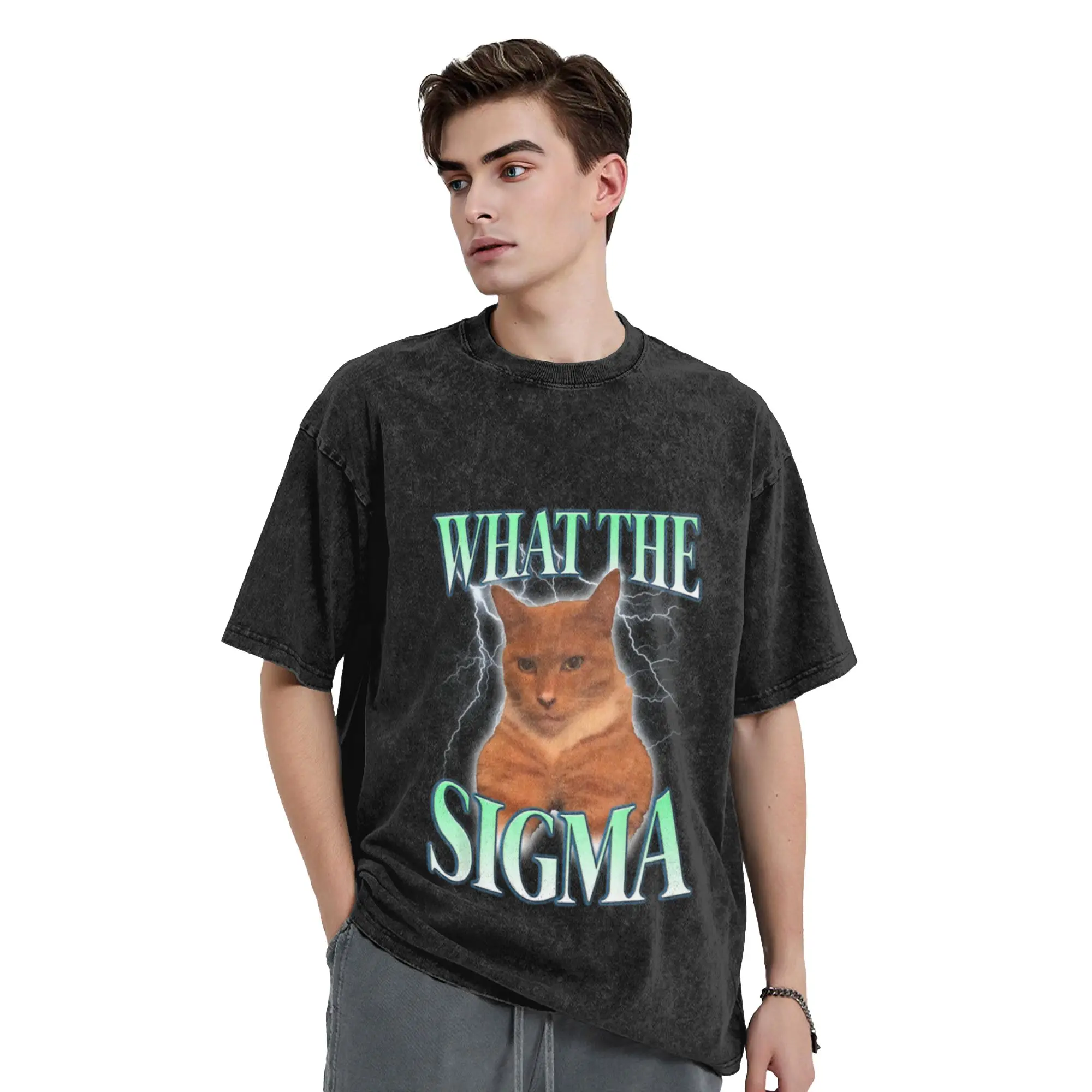 What The Sigma For Cat Lovers  Funny Cat Meme Gift Unique Cool A Washed T Shirt Men's Women's Oversized Cotton Tees Tops