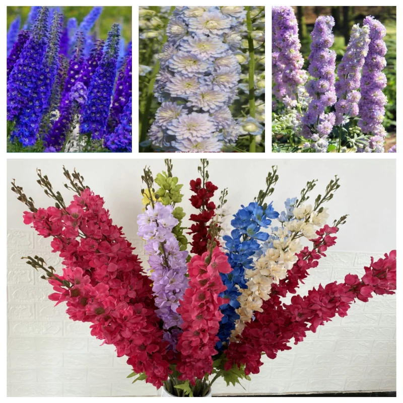 Multipetal Delphinium floral decorations, daisies plant balcony patio holiday gifts