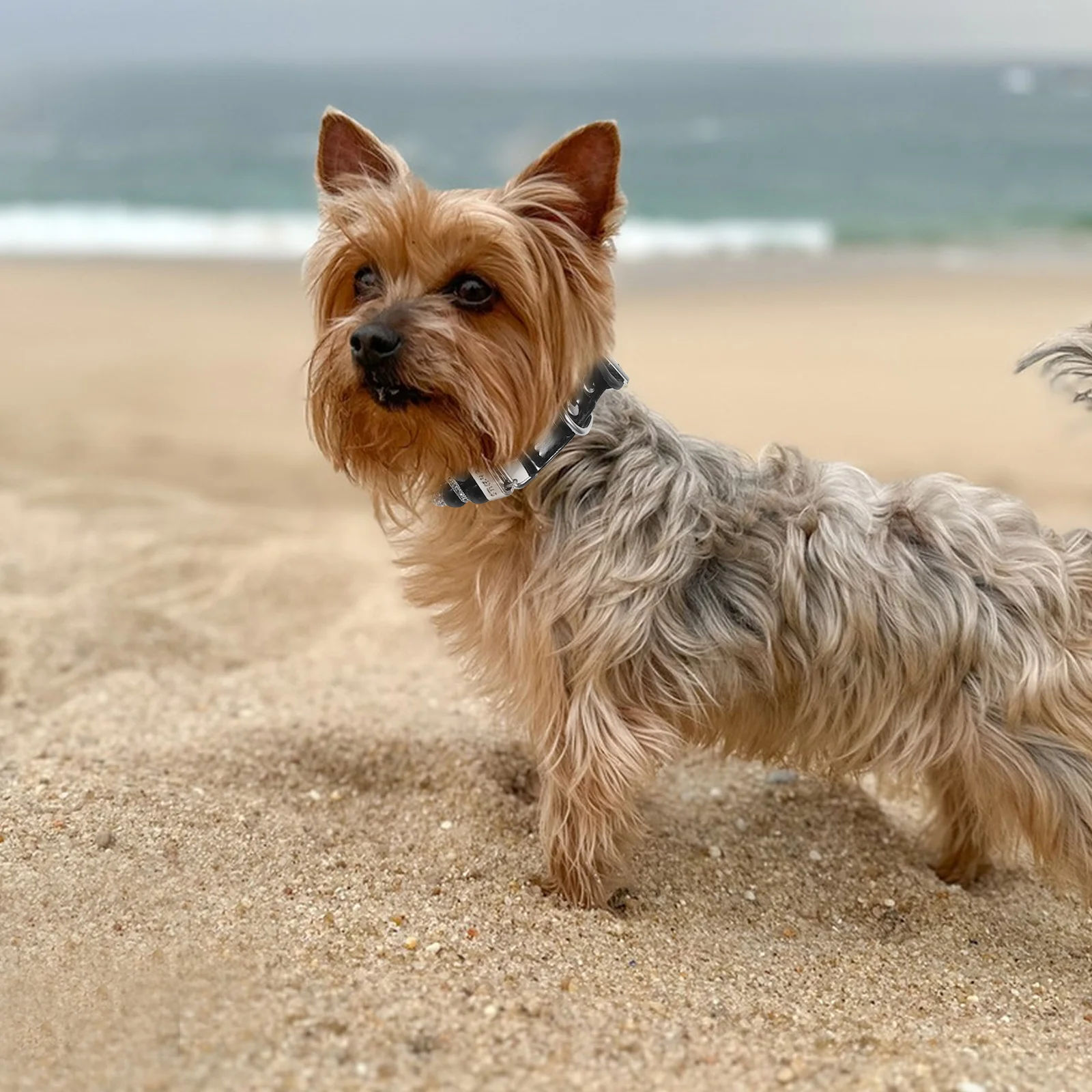 

Cute Dog Collars for Female Dogs Pearl Necklace Sparkling Crystals Soft PU Material Party Wedding Birthday Accessory