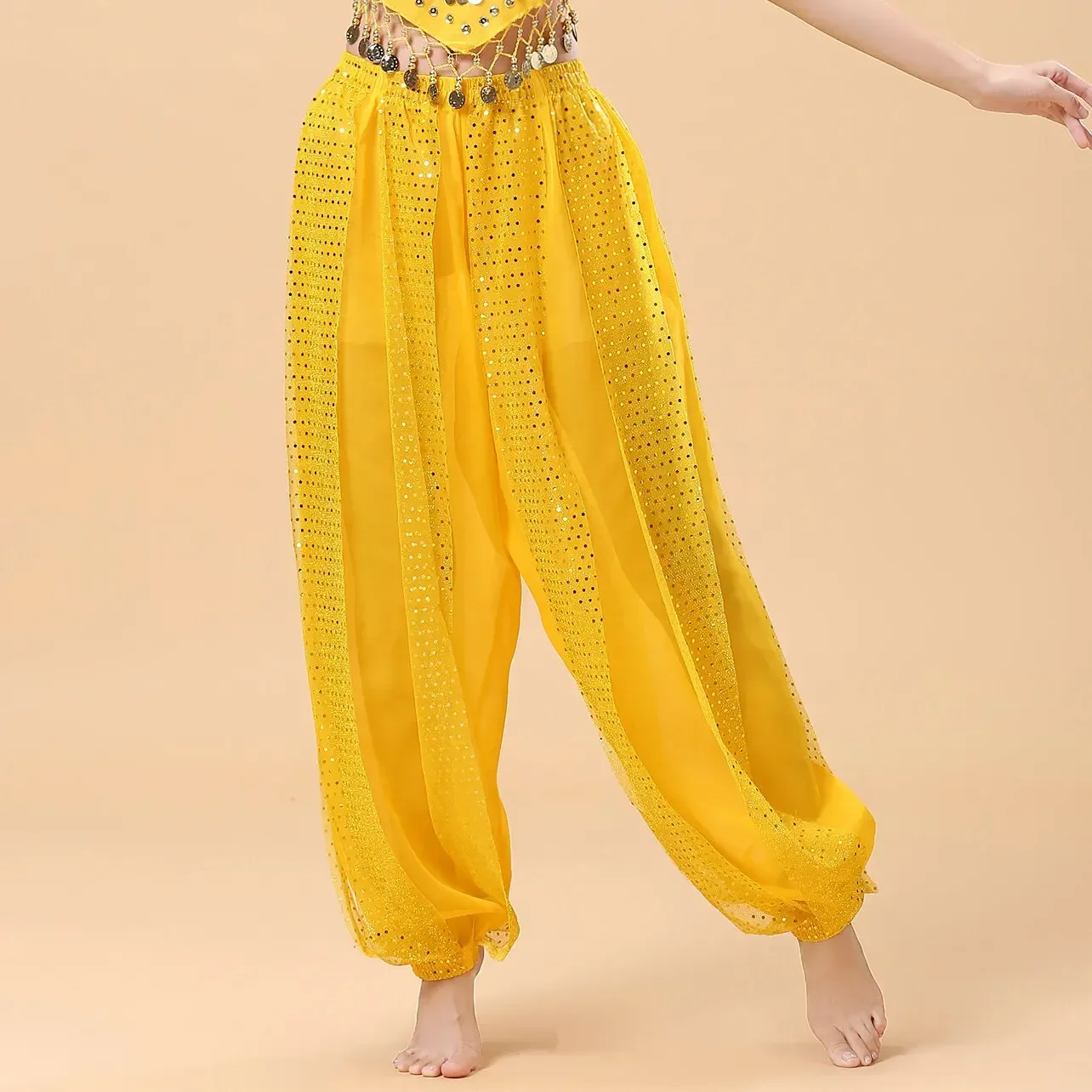 Indian Dance Performance Showcases Training Pants  Ethnic Dance New Adult Belly Dance Chiffon Practice Clothing Highlights Pants