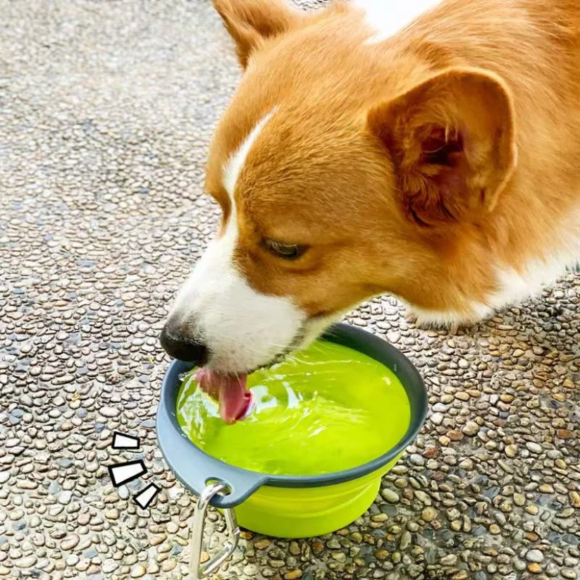 

Cuenco plegable para mascotas de 350mL, suministros para perros, cuenco portátil para viajes al aire libre, dog accessories