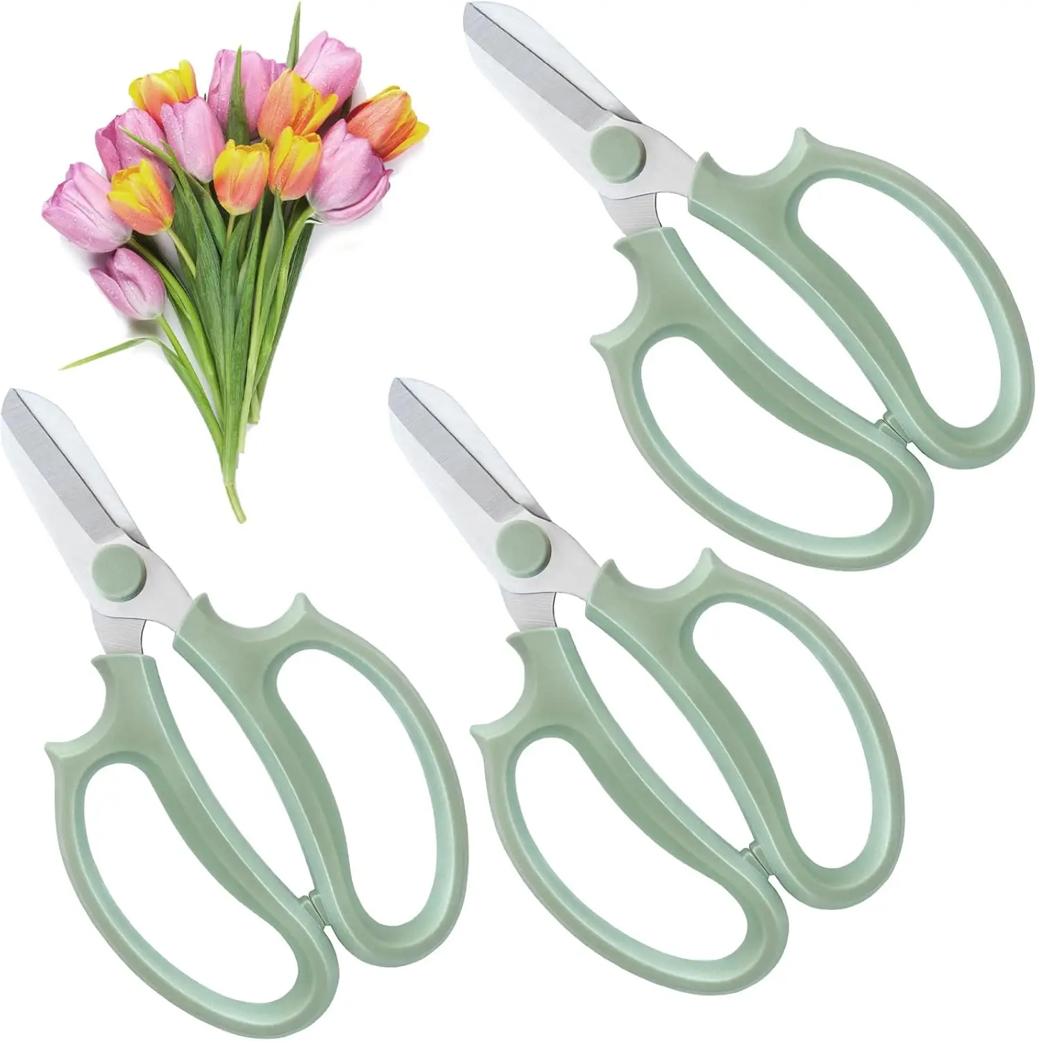 

3 Pcs Premium Stainless Steel Floral Shears, Garden Pruning Scissors for Flower Arrangement & Fruit Picking