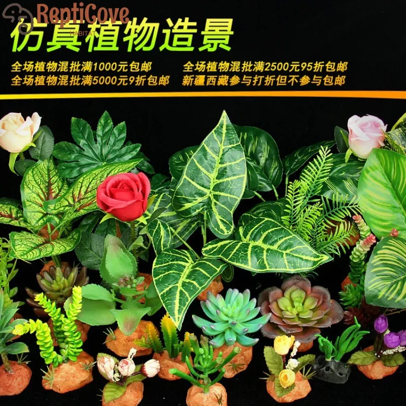 Lizard Breeding Box…