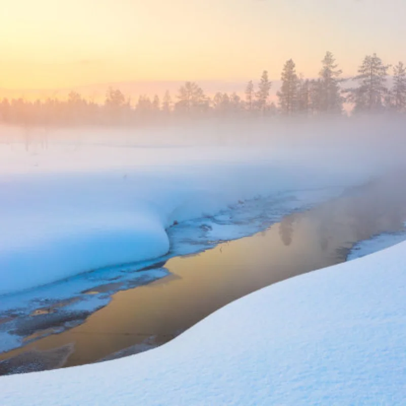 High Torque Waterproof 60Kg 180° DS5160 Metal Gear Digital Servo for RC Robot Car 1/6 Axial SCX6 1/5 Redcat HPI