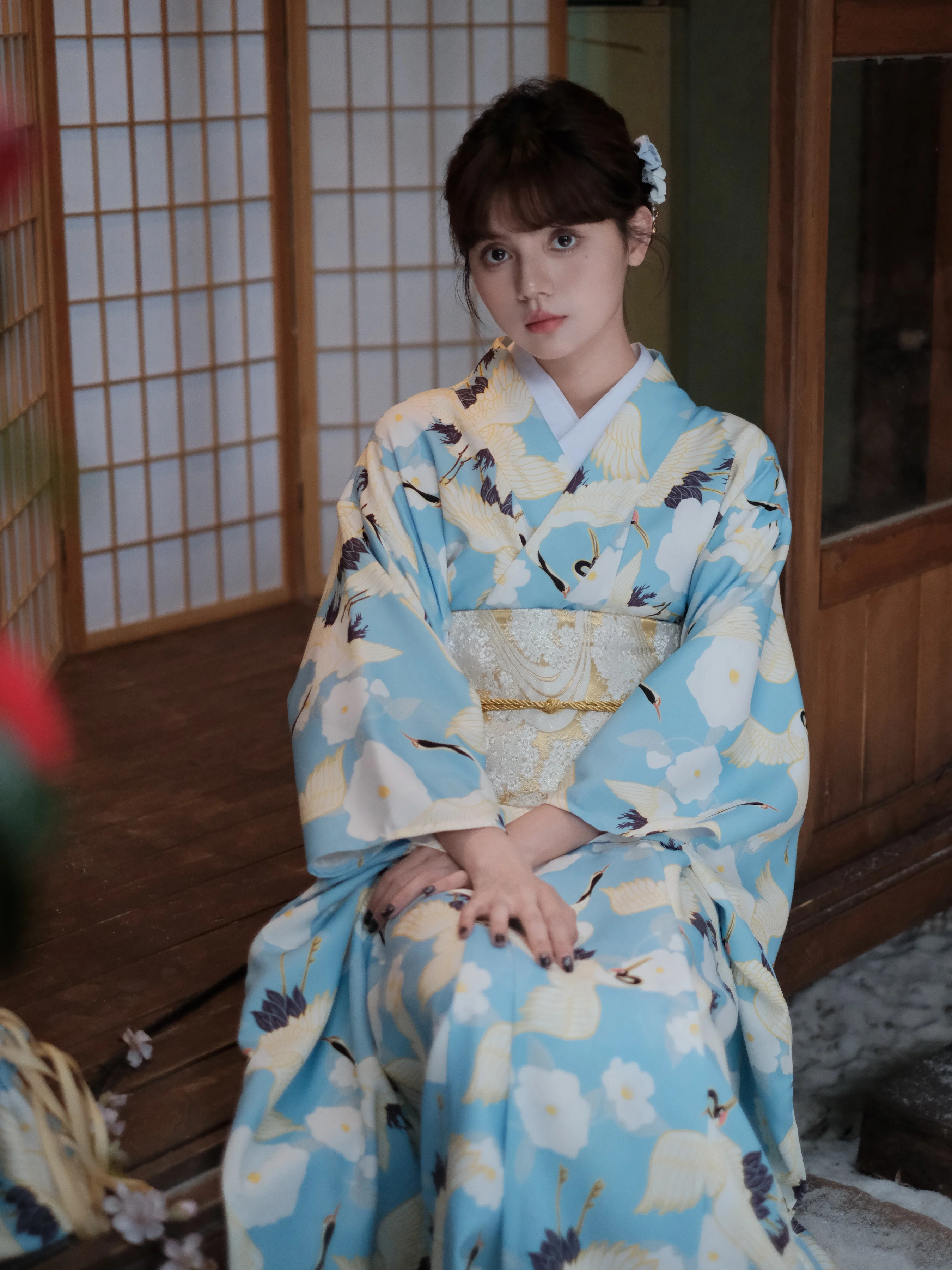 Japanese Traditional Long Sleeve Women Kimono Blue Color Crane Prints Yukata Robe Cosplay Costume Photography Dress