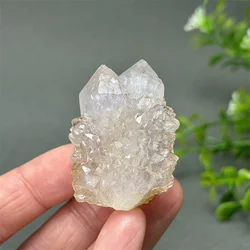 Natural Rare Mineral Quartz Purple Cactus Crystal Cluster Meditation Healing Aura Energy Home Feng Shui Ornament Gift