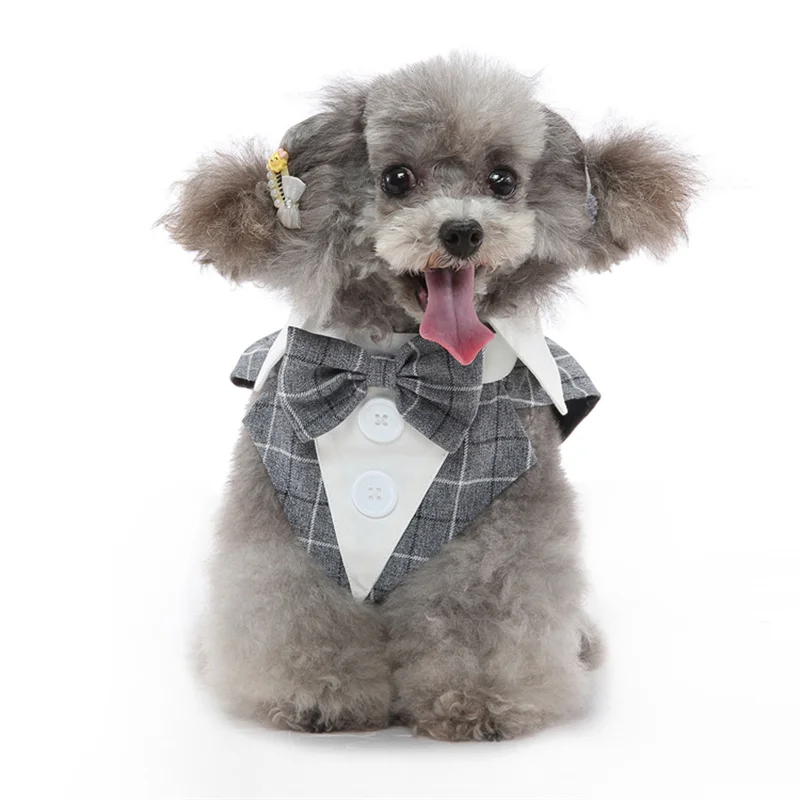 Luxurious Male Pet Costume for Small Dogs High Quality Puppy Dog Tailcoat Suit Dress Chihuahua Maltese mascotas Wedding Clothing