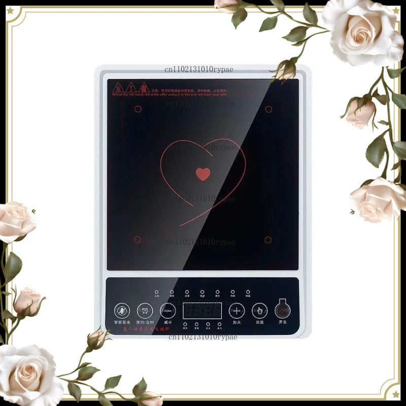 AI intelligent accessibility aids for the elderly and the visually impaired: voice, braille and flashing induction cooktop
