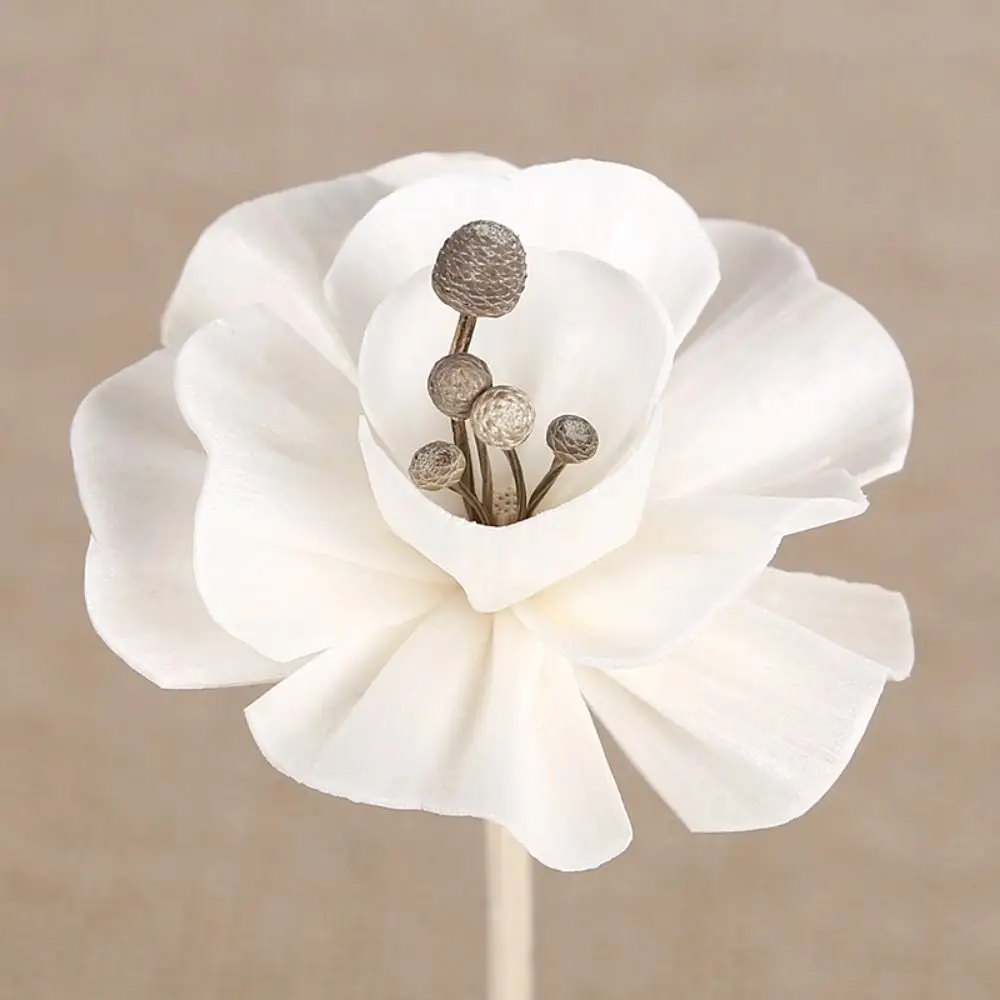 Dyeable Volatile For Aromatherapy Handmade Fragrance Living Room Dried Flowers Tongcao Flower Aromatic Incense Diffuser Sticks
