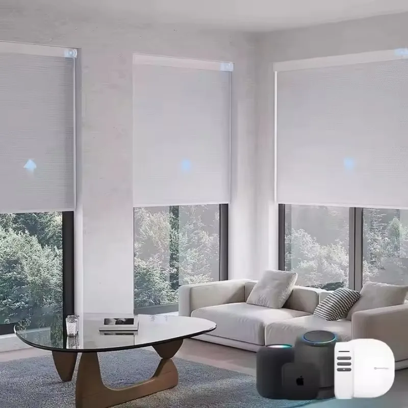 Tuya WiFi Motorized Zebra Blinds, Dual Layer Waterproof 100% Polyester, Remote Control Custom Window Shades