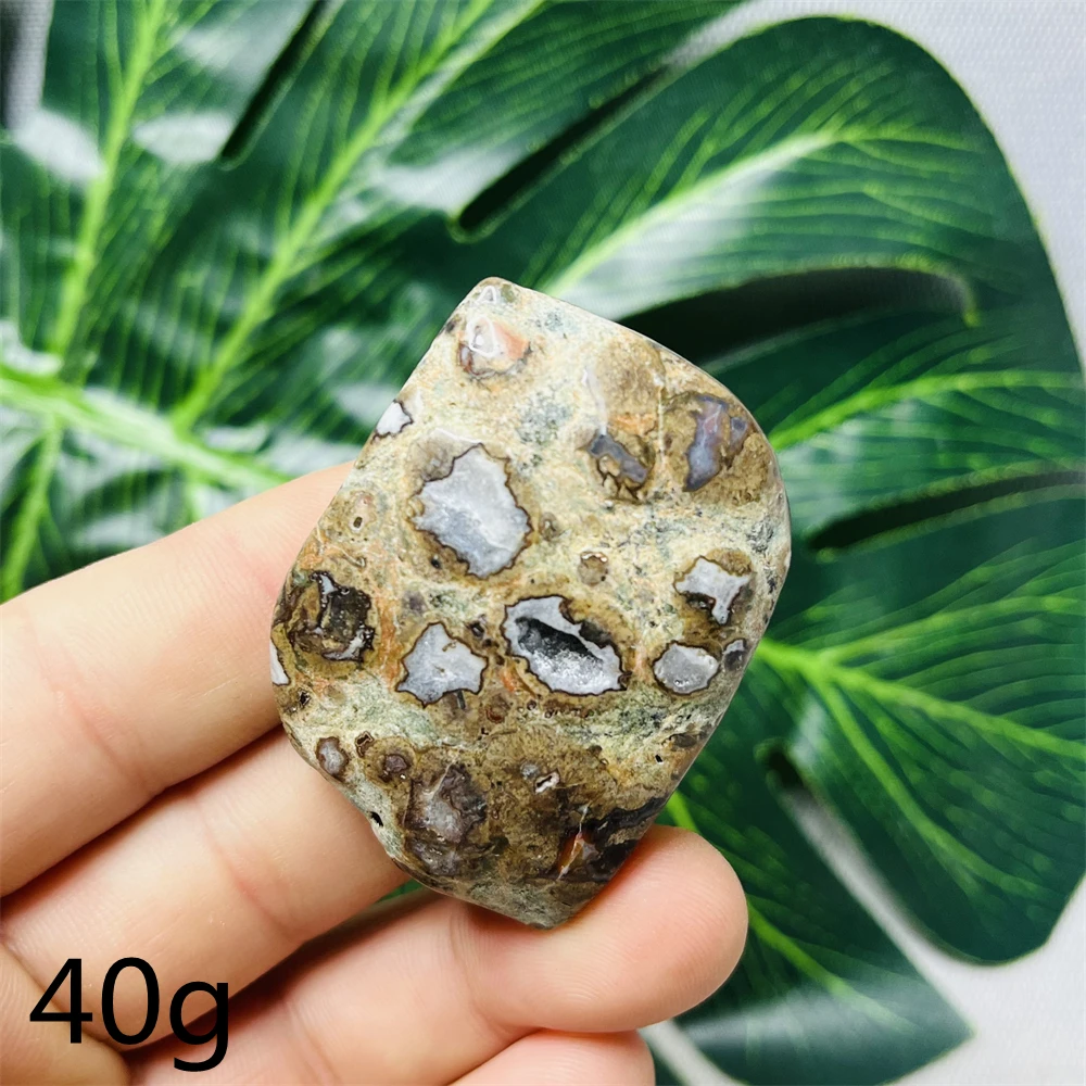 Australia Natural Opal Agate Horse Eye Leaf Palmstone Home Room Decoration Holiday Gift Meditation Chakra Crystal Stone Healing
