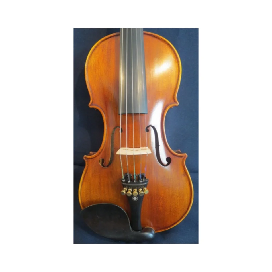 Strad style SONG Brand Maestro 5 strings violin 4/4,rich sweet sound