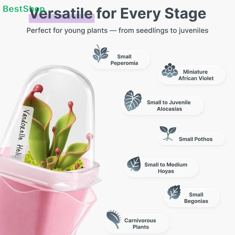 Transparent Pink Self Watering - đánh giá và giá Self-Watering Planter
