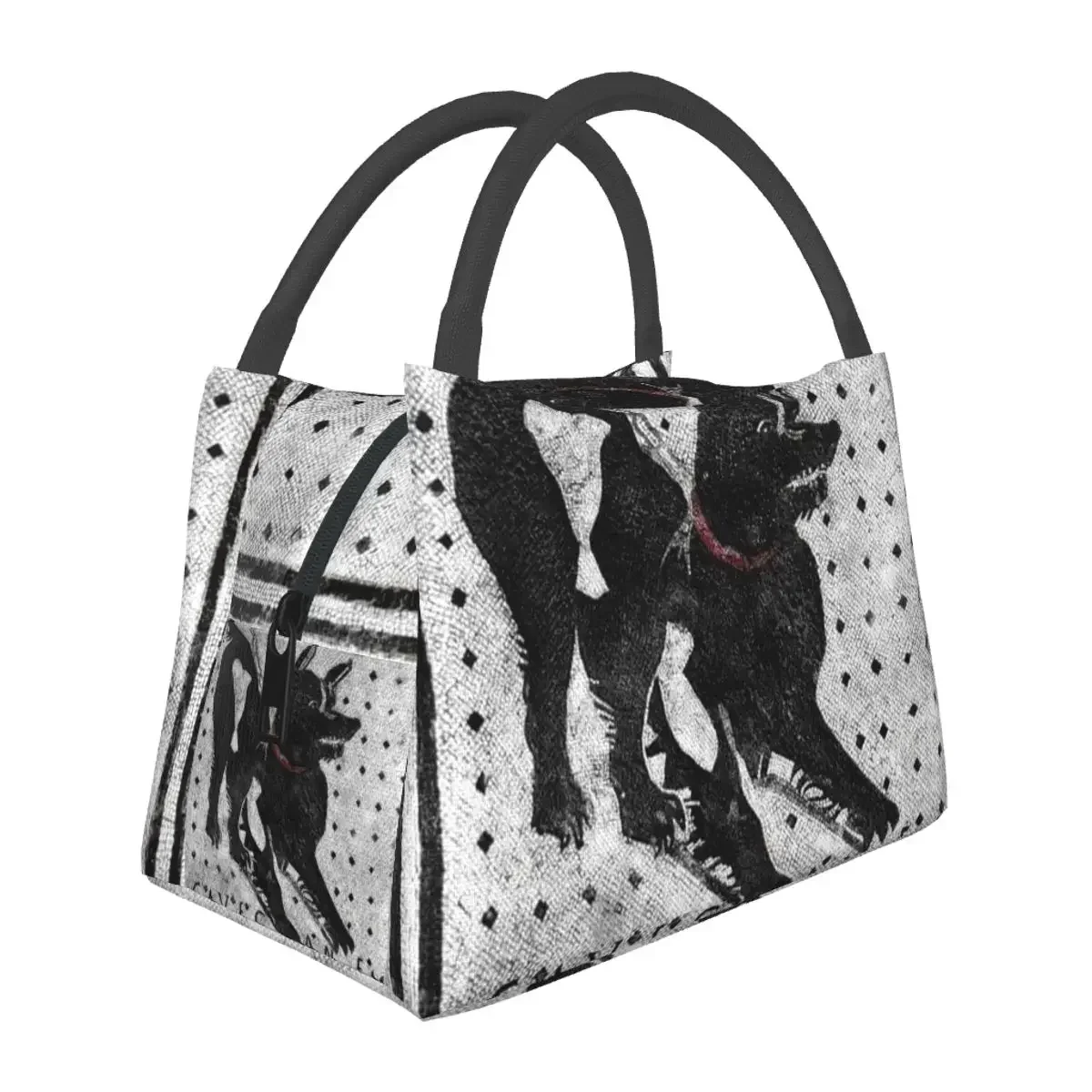 Cave Canem Lunch Bags Insulated Bento Box Waterproof Lunch Tote Leakproof Picnic Bags Thermal Bag for Woman Student School