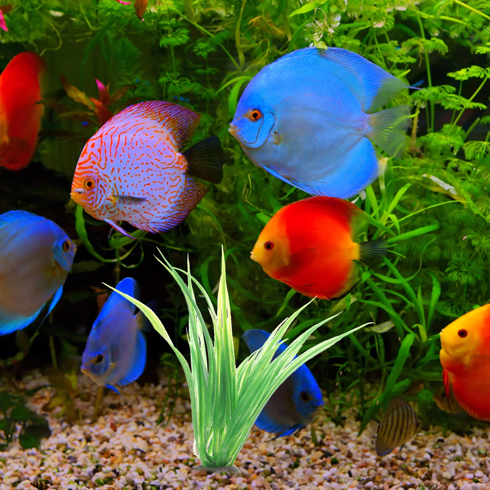 

10 Pcs Aquarium Grass Decorative Landscape Plastic Plants for Fish Tank Vivid Underwater Scene Artificial Home Pet Supplies