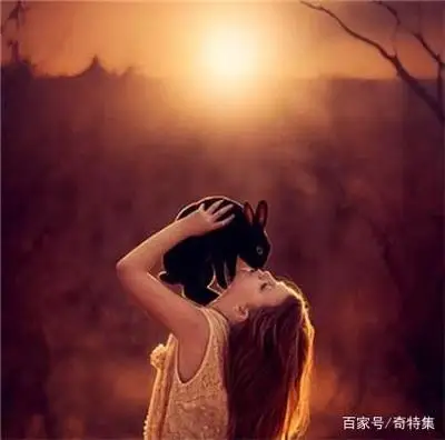 HA800 PRO 8 Channel Headphone Amplifier Audio Amp Ultra-Compact Stereo Audio Amplifier With Power Adapter for Music Mixer