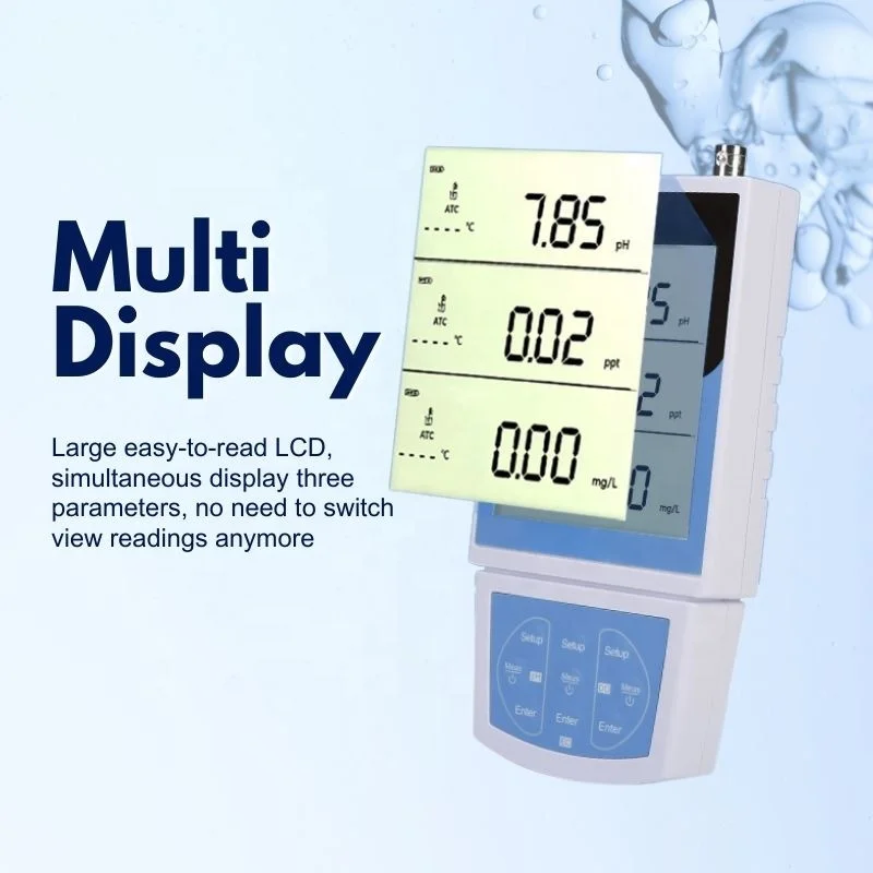 Portable Multiparameter Meter With Simultaneous LCD Display Of pH/DO/TDS/EC/Salinity/Resistivity Include pH TDS DO Sensors