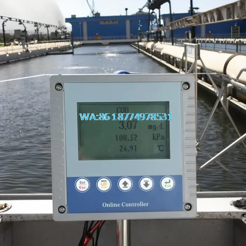 Wmwmnu High Accuracy Online Dissolved Oxygen Analyzer Optical DO Sensor IP68 Protection RS485 Modbus Output 3 Percent FS
