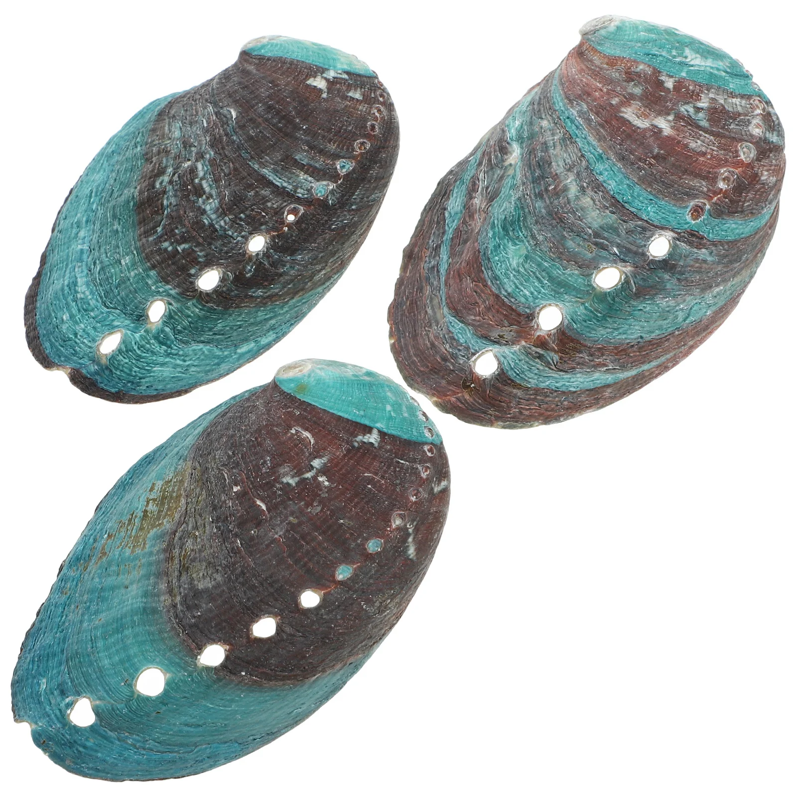 

3pcs Abalone Shells For Smudging: Natural Smudge Bowl Kit Rituals Home Decor Sage Burn Holder Shell Offering Bowl Abalone Shell