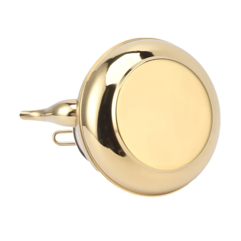 

Gold Stainless Steel Teapot Detachable Strainer Classical Stovetop Kettle Metal Construction 1.5L Capacity Large Capacity Kettle