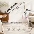 cat teaser