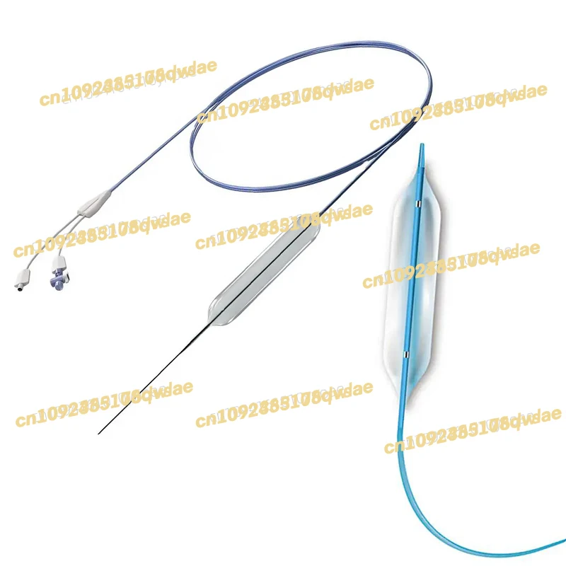 

Esophageal Balloon Dilation Balloon for ERCP