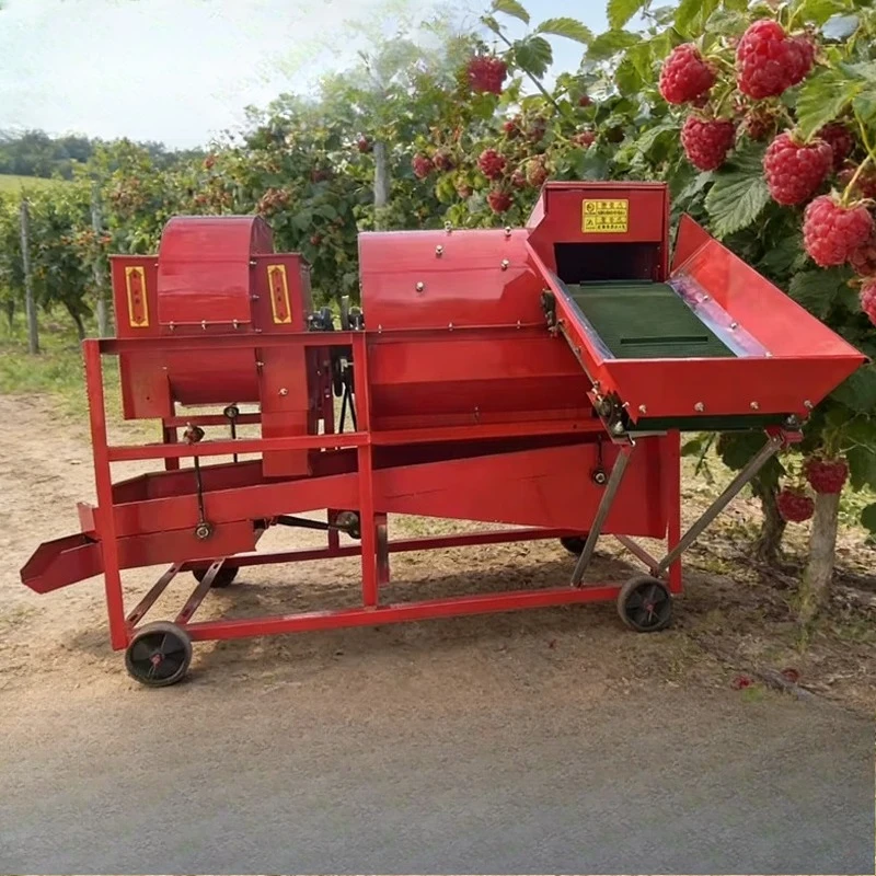 Raspberry fruit picker raspberry fruit remover wet and dry