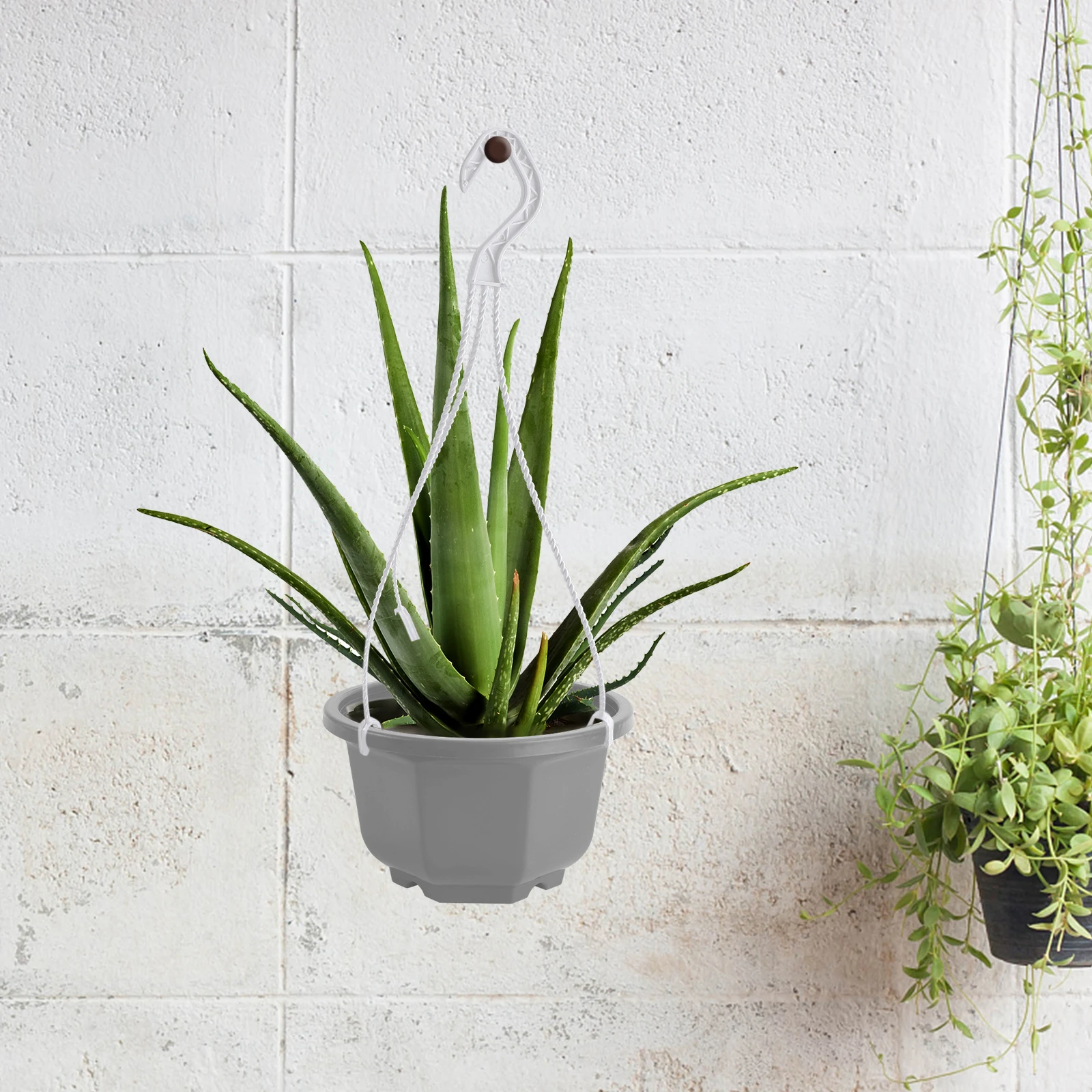 

5Pcs Plastic Hanging Flower Pots Durable Thick Garden Planter Plastic Plant Pot Perfect for Balcony Office Study Decor