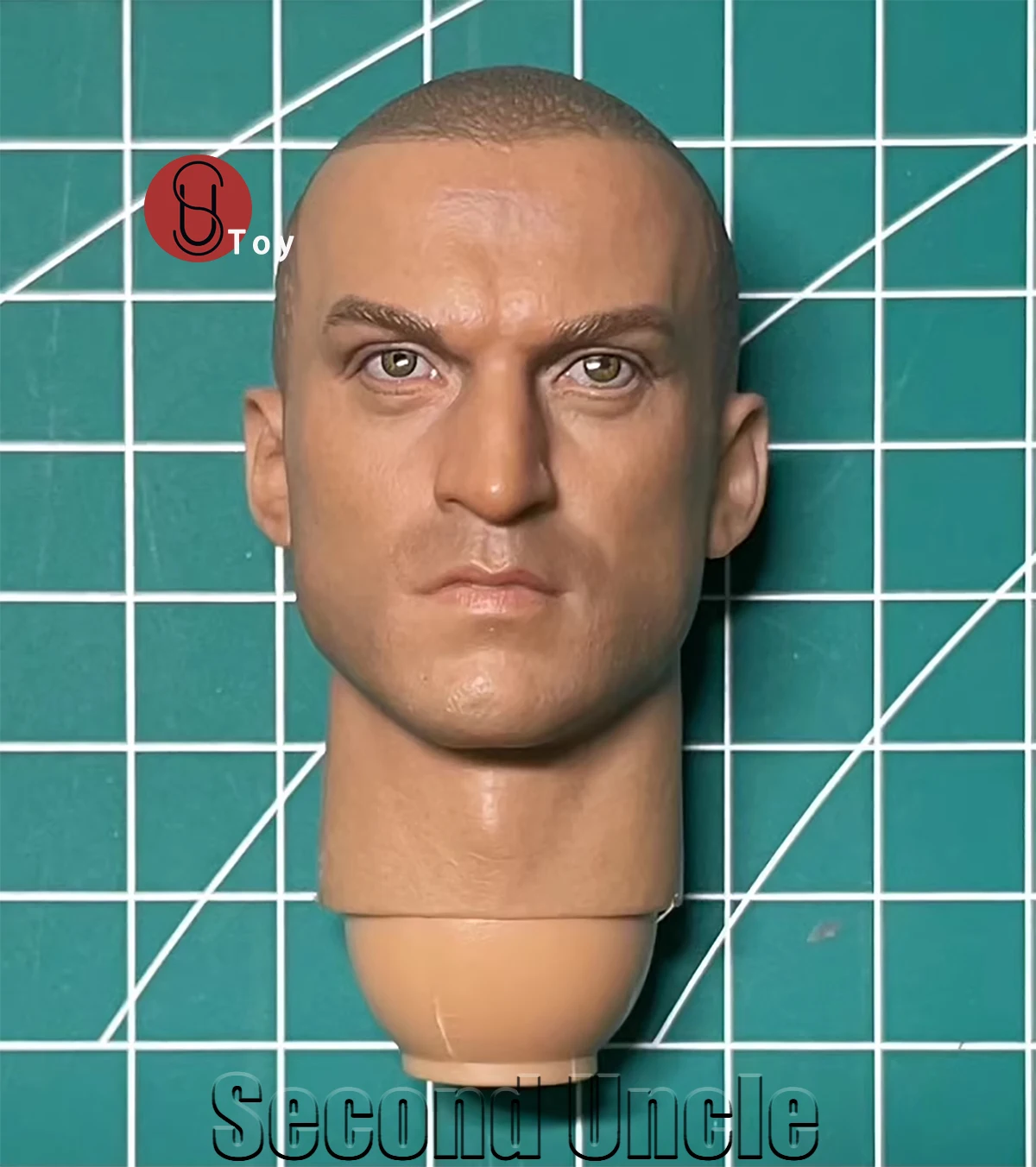 DAMTOYS 78018 1/6 head sculpt model Suitable for 12 inch model