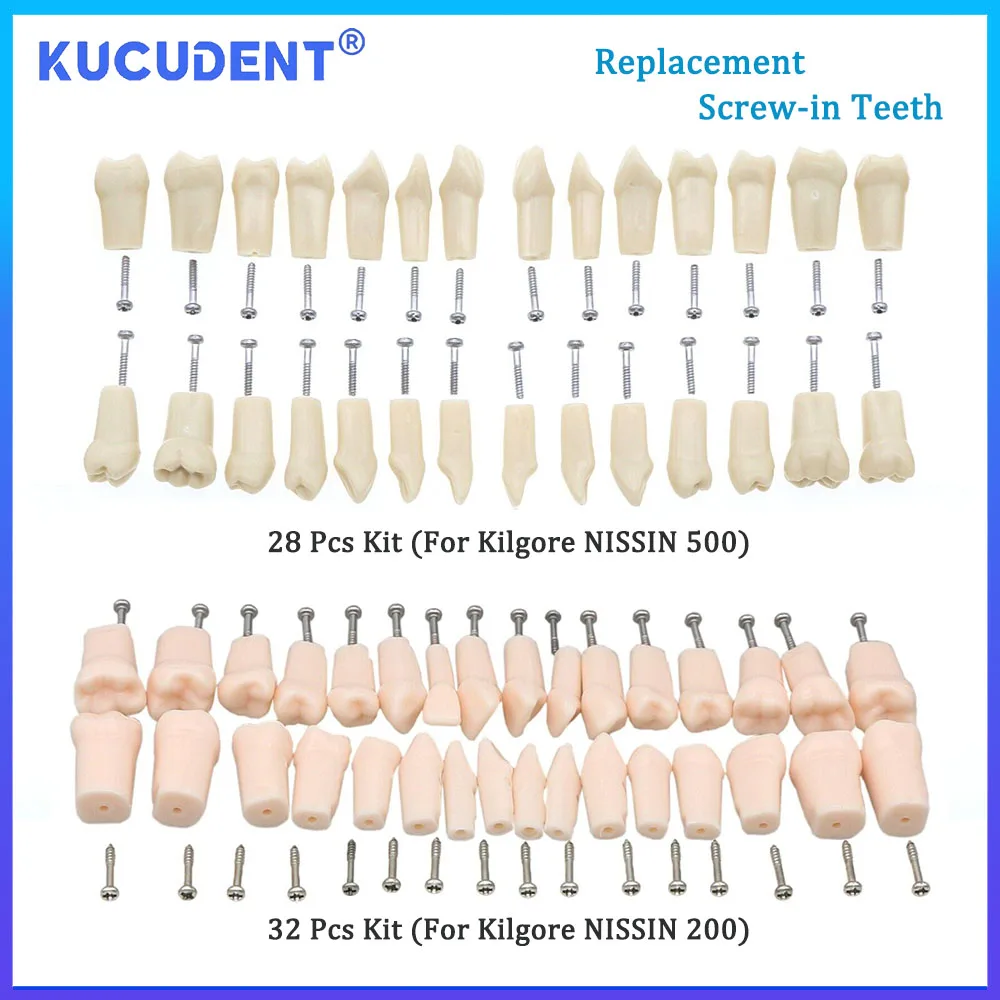 KUCUDENT 28/32 Pcs Typodont Dental Replacement Screw-in Removeable Teeth Fit Kilgore NISSIN 200/500 Type Dentist Teaching Model