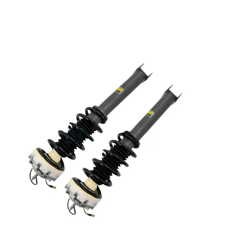 Dual Rear Shock Absorber Bracket Assembly Suspension System Auto Parts