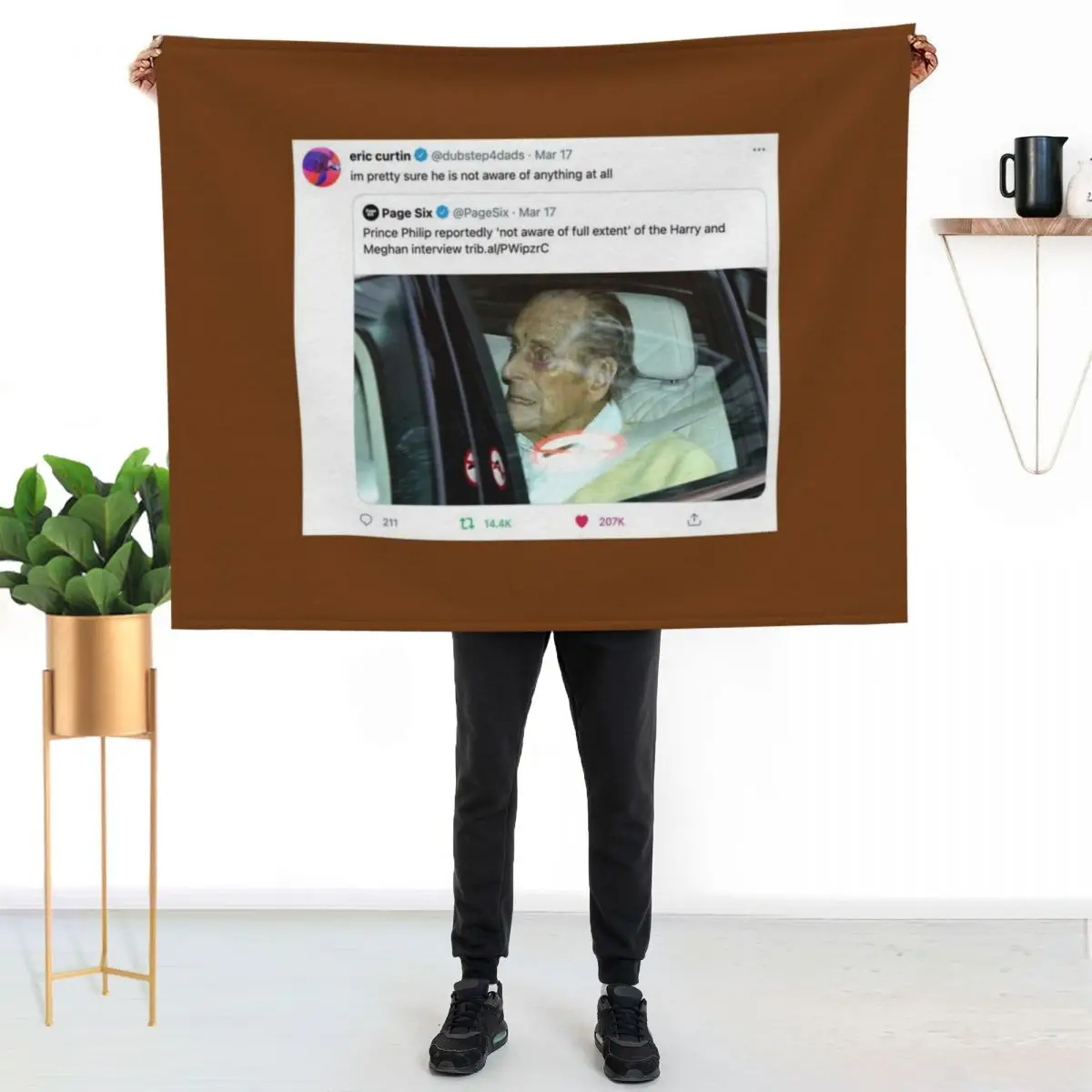 prince phillip meme Throw Blanket Comforter Quilt blankets ands Softest christmas decoration Sofa Blankets