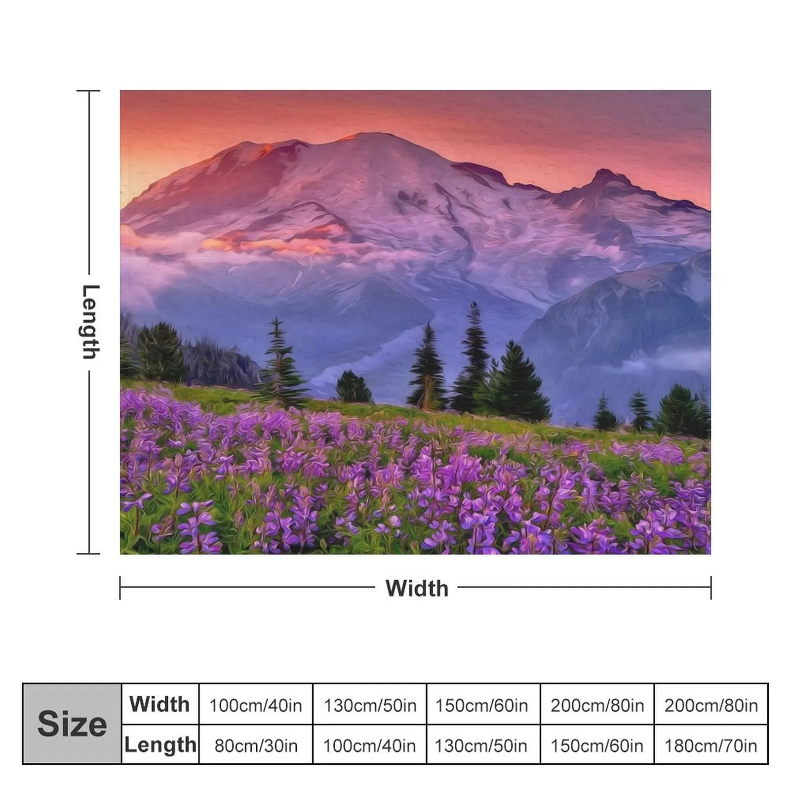 Washington, Mt Rainier National Park Throw Blanket Sofa Quilt for winter Winter beds Beach Blankets