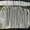 B1   10Packs