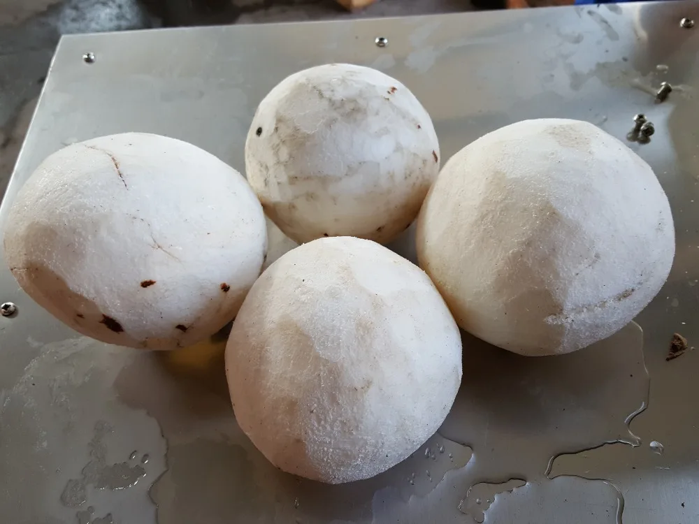 Eliminador automático de cáscara de coco/máquina de eliminación de coco/máquina descascaradora de coco