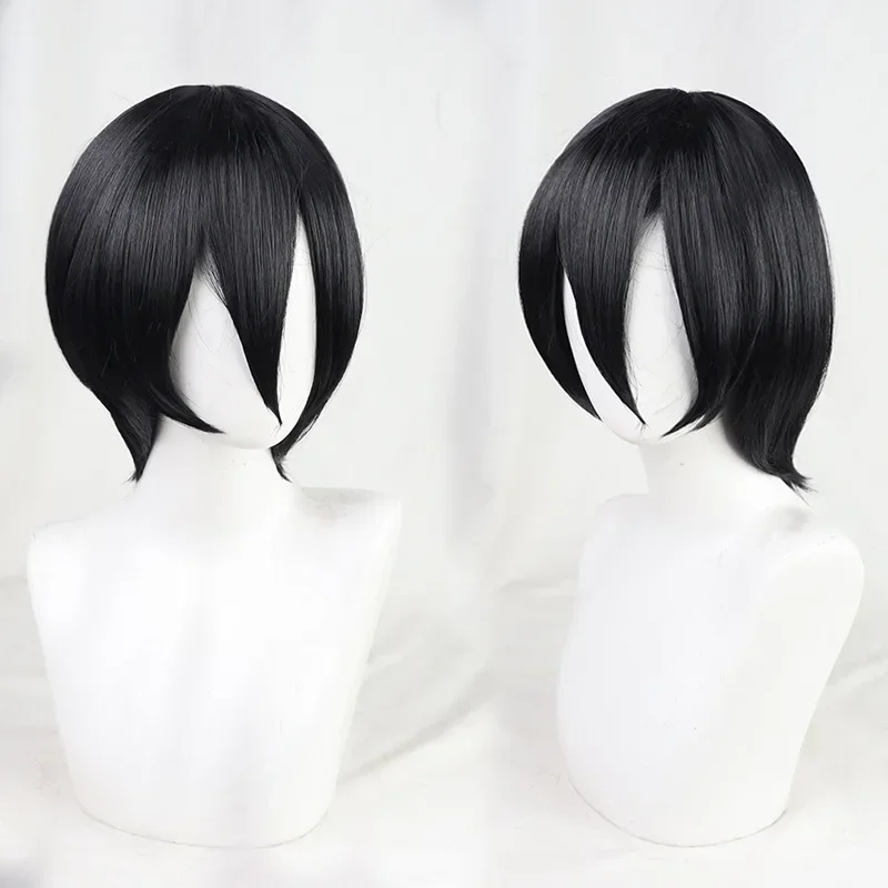 Anime Attack On Titan Shingeki No Kyojin Mikasa Levi Ackerman Eren Jager Armin Arlert Hange Zoe Cosplay Costume Wig FinalSeason4