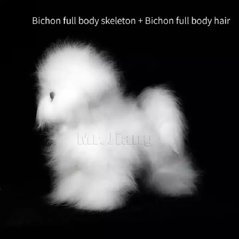 Imagem -05 - Dog Wig Modelo de Design Personalizado Peruca de Cão Usado para a Prática de Habilidades de Higiene Pele de Bichon em Branco sem Manequim Mr.jiang-bichon