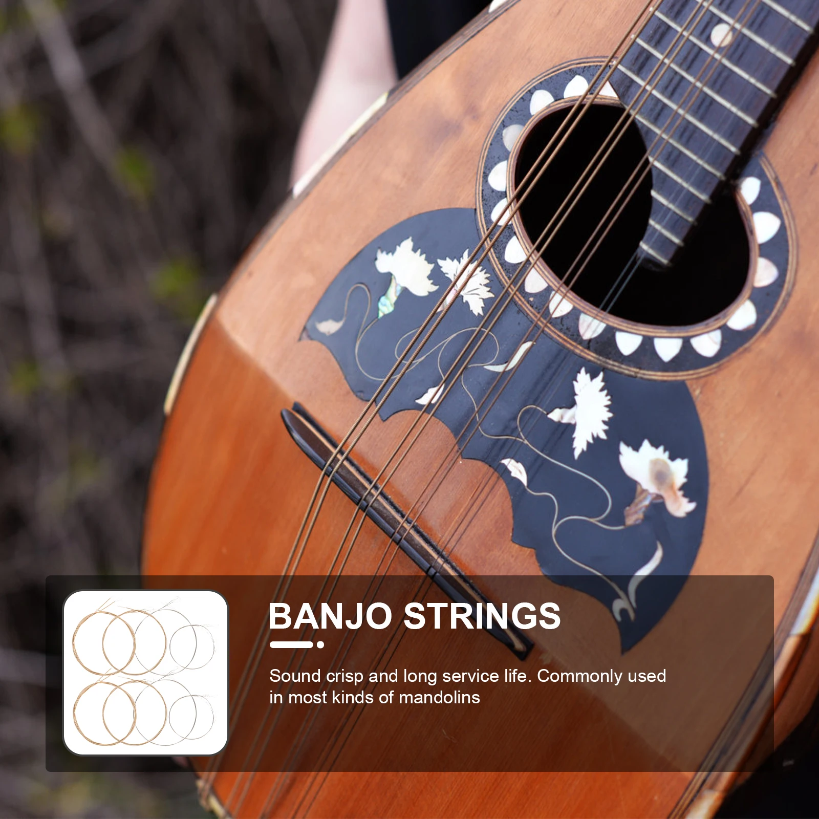 

1Set Mandolin Strings Acoustic Instrument Accessories Long Service Life Elegant Pattern Acoustic Mandolin Strings