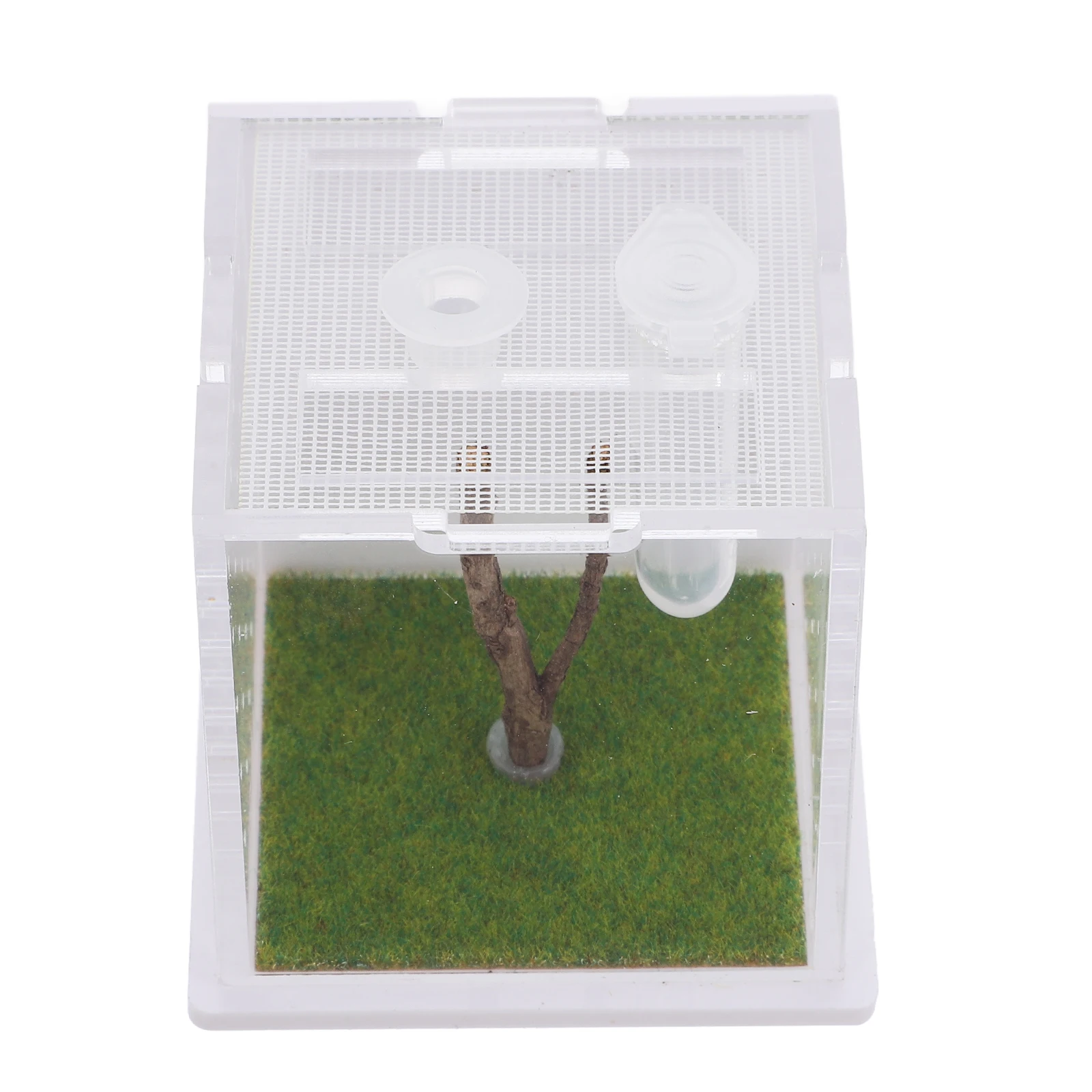 Jumping Spider Terrarium Breeding Box Portable Cage Pet Supplies Reptile Container Feeding Case InsectBox Small Bugs