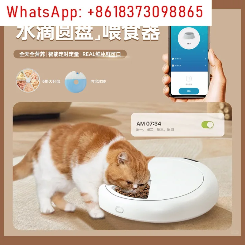 Six grid pet wet food feeder, fresh-keeping Bluetooth, unplugged, timed quantitative cat and dog bowl automatic feeding machine
