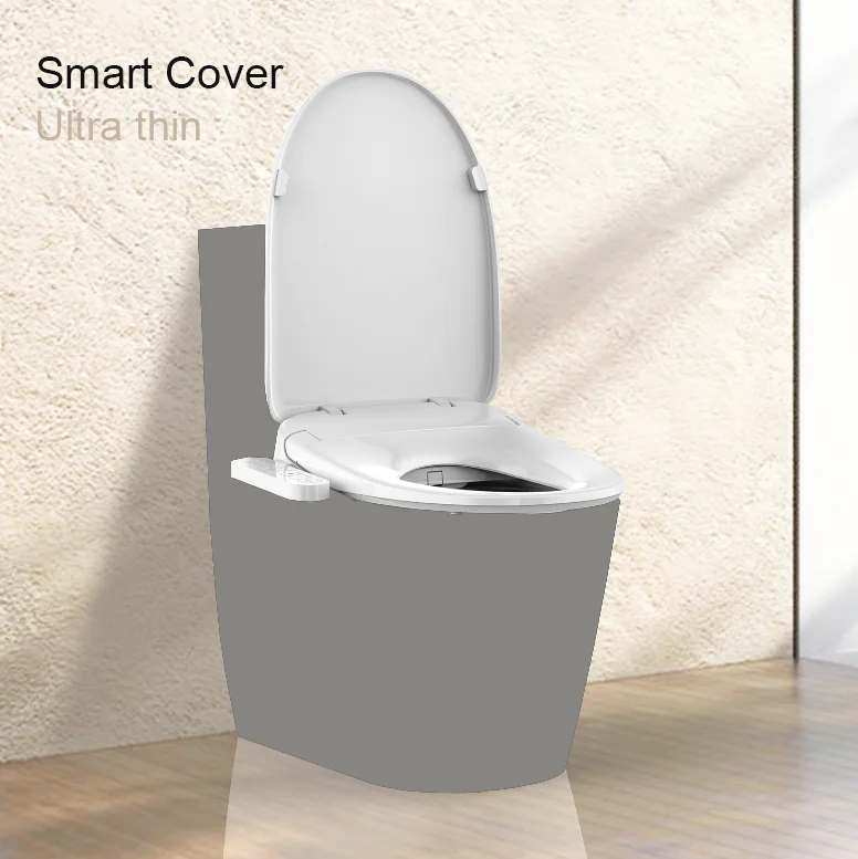 High Performance Fancy Cheap Bathroom Sanitary Ware WC Folding Wall Mounted Auto Self Cleaning Smart Toilet Seat Cover